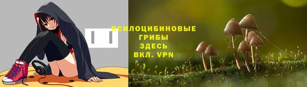 кокаин Бикин