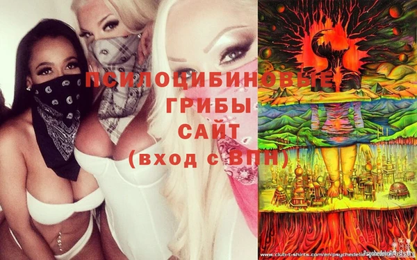 герыч Алзамай