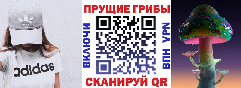 Галлюциногенные грибы прущие грибы Тутаев