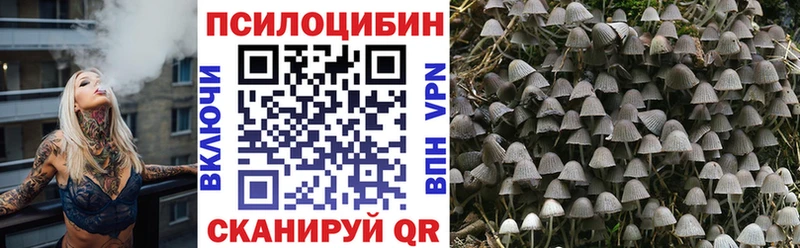 Псилоцибиновые грибы Magic Shrooms  блэк спрут ТОР  Тутаев 